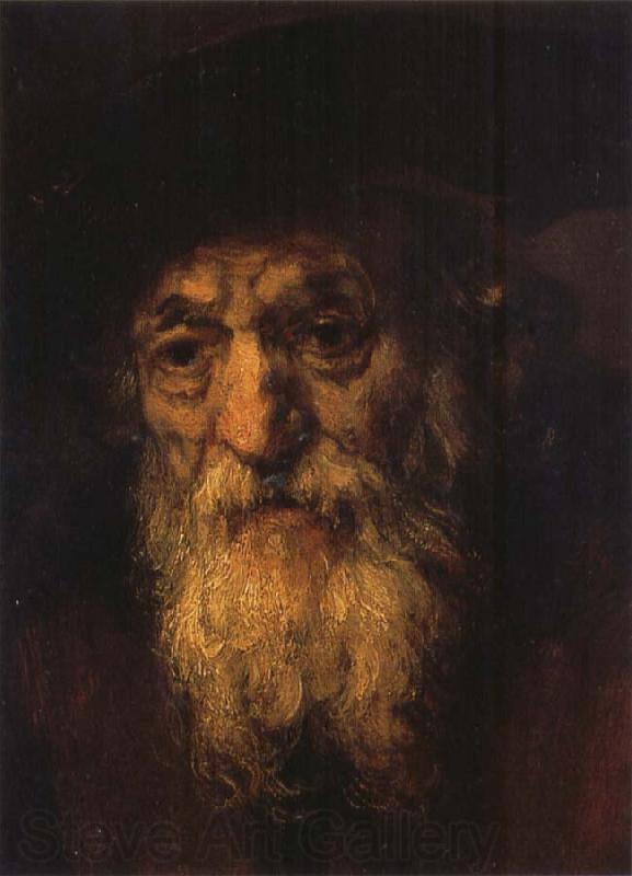 REMBRANDT Harmenszoon van Rijn Portrait of an Old Jew
